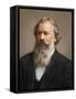 Portrait of Johannes Brahms (1833-1897) German Composer - Photoengraving Colorisee, 19Th Century --null-Framed Stretched Canvas