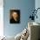 Portrait of John Adams-Gilbert Stuart-Giclee Print displayed on a wall