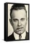 Portrait of John Dillinger-null-Framed Stretched Canvas