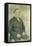 Portrait of John Mcdonald, 1874-Richard Dadd-Framed Stretched Canvas