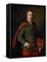 Portrait of John Woodyeare, 1750-Pompeo Girolamo Batoni-Framed Stretched Canvas