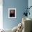 Portrait of Jose Celestino Mutis-null-Framed Giclee Print displayed on a wall