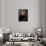 Portrait of Jose Celestino Mutis-null-Framed Stretched Canvas displayed on a wall