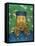 Portrait of Joseph Roulin-Vincent van Gogh-Framed Stretched Canvas