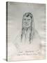 Portrait of Joseph Too-We-Tak-Hes Chief of the Nez Perce Indians-Gustav Sohon-Stretched Canvas