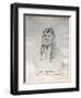 Portrait of Joseph Too-We-Tak-Hes Chief of the Nez Perce Indians-Gustav Sohon-Framed Giclee Print