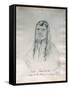 Portrait of Joseph Too-We-Tak-Hes Chief of the Nez Perce Indians-Gustav Sohon-Framed Stretched Canvas