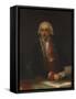 Portrait of Juan De Villanueva-Francisco de Goya-Framed Stretched Canvas