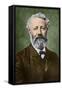 Portrait of Jules Verne by Nadar-Stefano Bianchetti-Framed Stretched Canvas