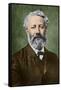 Portrait of Jules Verne by Nadar-Stefano Bianchetti-Framed Stretched Canvas