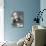 Portrait of Jules Verne-null-Photographic Print displayed on a wall