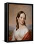 Portrait of Julia Ann Seabury, 1846 (Oil on Panel)-William Sidney Mount-Framed Stretched Canvas