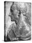 Portrait of Julius Caesar-Donatello-Stretched Canvas