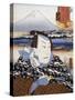 Portrait of Kabuki Theatre Actor in Front of Mount Fuji-null-Stretched Canvas