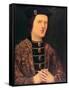 Portrait of King Edward IV of England-null-Framed Stretched Canvas