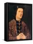 Portrait of King Edward IV of England-null-Framed Stretched Canvas