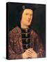 Portrait of King Edward IV of England-null-Stretched Canvas