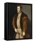 Portrait of King Philip II of Spain, in Gold-Embroidered Costume with Order of the Golden Fleece-Titian (Tiziano Vecelli)-Framed Stretched Canvas