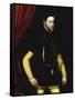 Portrait of King Philip II of Spain-Antonio Mor-Framed Stretched Canvas