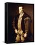 Portrait of King Philip II of Spain-Titian (Tiziano Vecelli)-Framed Stretched Canvas