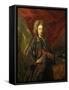 Portrait of Knight of Golden Fleece-Francesco Solimena-Framed Stretched Canvas