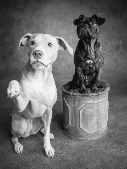 Photographic Print, , large