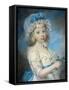 Portrait of Lady Georgiana Cavendish-Elizabeth Royal-Framed Stretched Canvas