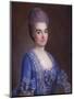 Portrait of Lady in Blue-Francois Hubert Drouais-Mounted Giclee Print