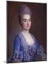 Portrait of Lady in Blue-Francois Hubert Drouais-Mounted Giclee Print