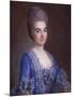 Portrait of Lady in Blue-Francois Hubert Drouais-Mounted Giclee Print