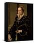 Portrait of Laudomia de Medici-Agnolo Bronzino-Framed Stretched Canvas