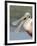 Portrait of Laughing Roseate Spoonbill with Bill Open, Fort De Soto Park, Florida, USA-Arthur Morris-Framed Photographic Print