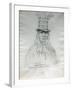 Portrait of Lawyer Hal-Hal-Tlostsot Head Chief of the Nez Perce Tribe-Gustav Sohon-Framed Giclee Print