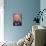 Portrait of Leon Bakst-Amedeo Modigliani-Giclee Print displayed on a wall