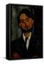 Portrait of Léopold Zborowski, 1916-Amedeo Modigliani-Framed Stretched Canvas