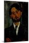 Portrait of Léopold Zborowski, 1916-Amedeo Modigliani-Mounted Giclee Print