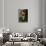 Portrait of Leopold Zborowski-Amedeo Modigliani-Giclee Print displayed on a wall