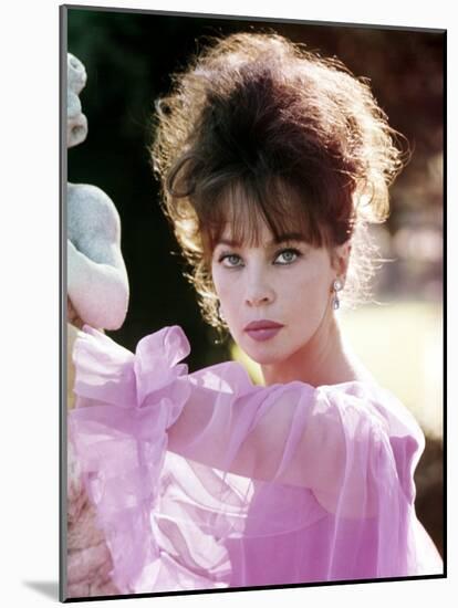 Portrait of Leslie Caron, 1960s-null-Mounted Photo