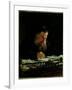 Portrait of Lev Tolstoy (1828-1910)-Nikolai Nikolajevitch Gay-Framed Giclee Print