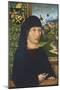Portrait of Levinus Memminger, Ca 1485-Michael Wolgemut-Mounted Giclee Print