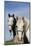 Portrait of Lipizzan Mares at Tempel Farms, Old Mill Creek, Illinois, USA-Lynn M^ Stone-Mounted Photographic Print