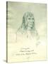 Portrait of Looking Glass Apash-Wa-Hay-Ikt Chief of the Nez Perce Indians-Gustav Sohon-Stretched Canvas