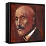 Portrait of Lorand Eotvos (Budapest, 1848-Budapest, 1919), Hungarian Physicist, Painting-null-Framed Stretched Canvas