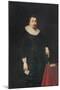 Portrait of Lord Baltimore-Daniel Mytens-Mounted Giclee Print