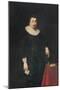 Portrait of Lord Baltimore-Daniel Mytens-Mounted Giclee Print