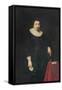 Portrait of Lord Baltimore-Daniel Mytens-Framed Stretched Canvas