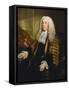 Portrait of Lord Bowes of Clonlyon Three-Length in Lord Chancellor's Robes, 18th Century-Stephen Slaughter-Framed Stretched Canvas
