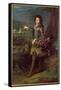 Portrait of Louis Auguste de Bourbon-Francois de Troy-Framed Stretched Canvas