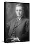 Portrait of Louis D. Brandeis-null-Framed Stretched Canvas