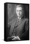 Portrait of Louis D. Brandeis-null-Framed Stretched Canvas